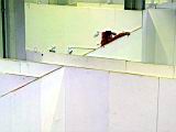 ART11_0056.JPG