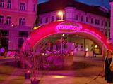 motorfestbrno09_37.jpg