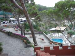 ischia_regina-2.jpg