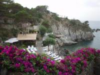 ischia_regina-3.jpg