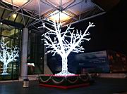 IMG_0049.JPG