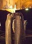 giorgioarmani_spazio7_0073.jpg