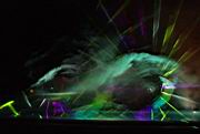 DSC04128.JPG