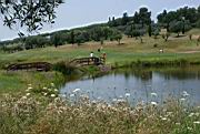 DSC05006.JPG