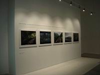 maxxi_702.JPG