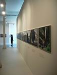 maxxi_719.JPG