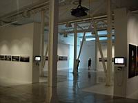 maxxi_727.JPG