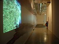 maxxi_728.JPG