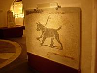 DSCN2526.JPG