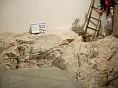trevi_02.jpg