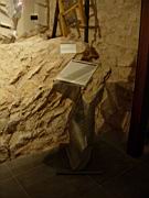 trevi_03.jpg