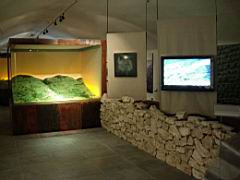 trevi_07.jpg